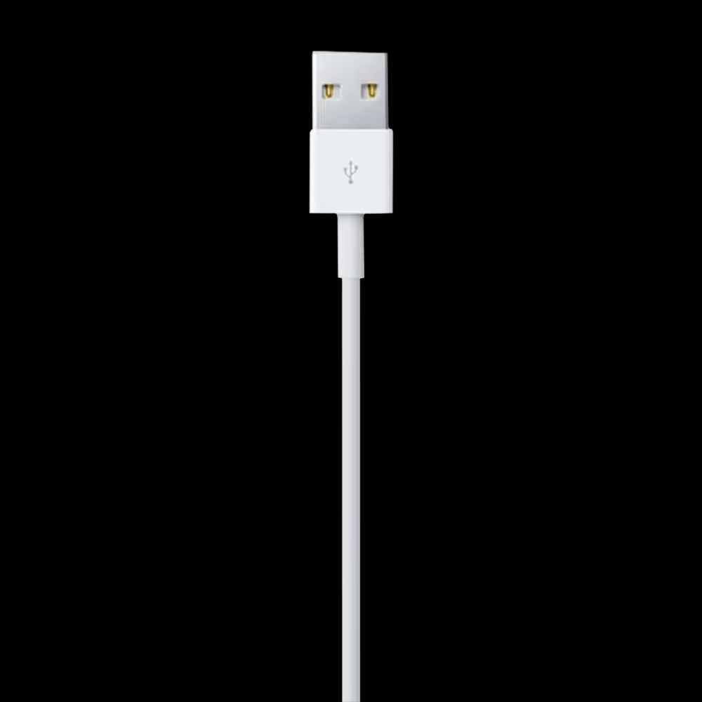 Apple Iphone Lightning To Usb Cable (1M) Cable (Sync and Charge, White) For All Apple Devices